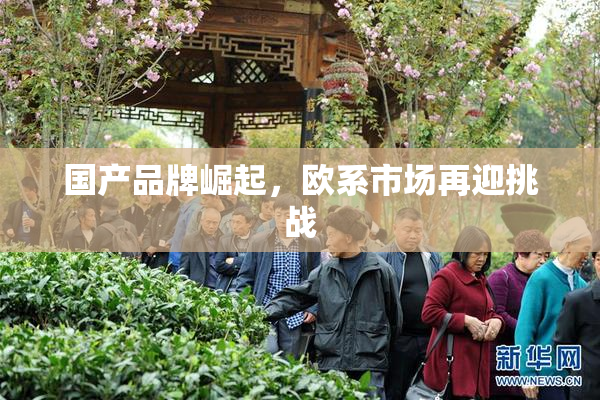 国产品牌崛起，欧系市场再迎挑战