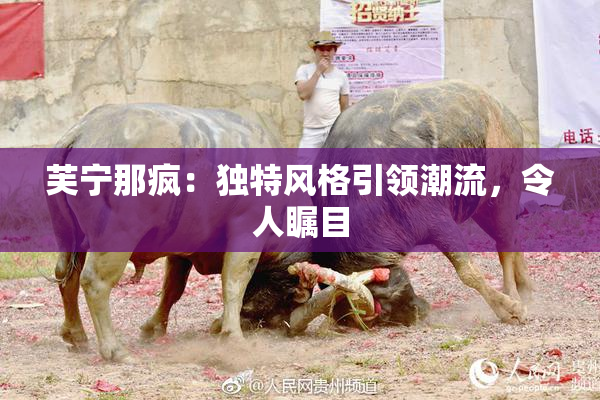 芙宁那疯：独特风格引领潮流，令人瞩目