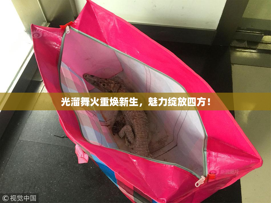 光溜舞火重焕新生，魅力绽放四方！