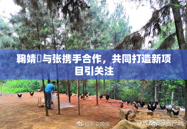 鞠婧祎与张携手合作，共同打造新项目引关注
