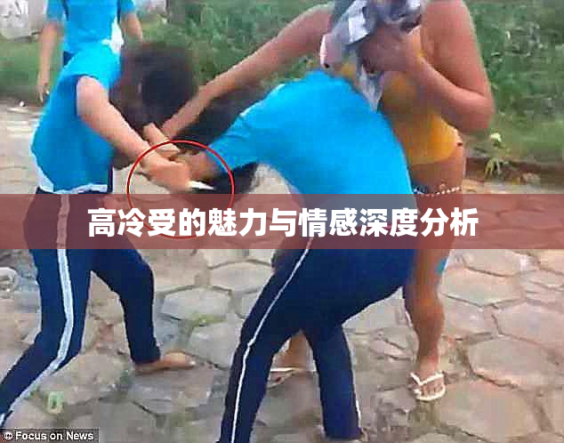 高冷受的魅力与情感深度分析