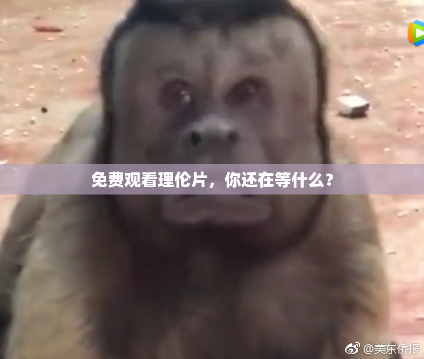 免费观看理伦片，你还在等什么？
