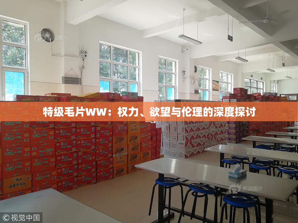 特级毛片WW：权力、欲望与伦理的深度探讨
