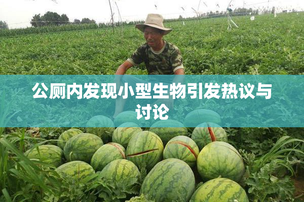 公厕内发现小型生物引发热议与讨论