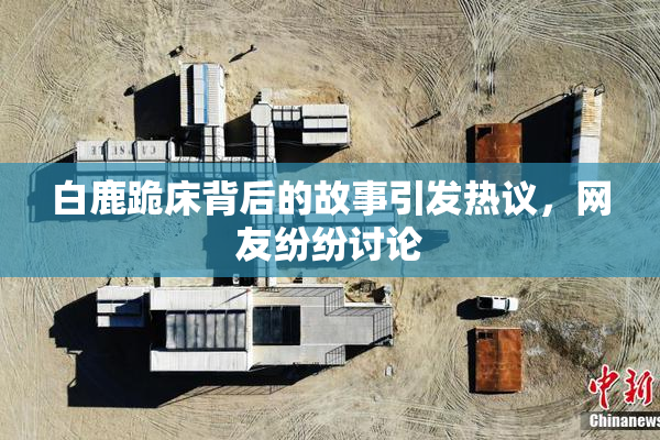 白鹿跪床背后的故事引发热议，网友纷纷讨论