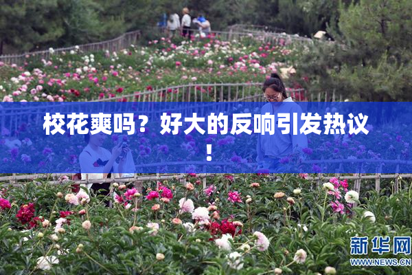 校花爽吗？好大的反响引发热议！