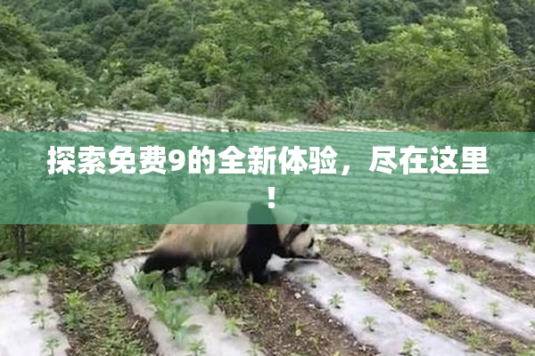 探索免费9的全新体验，尽在这里！