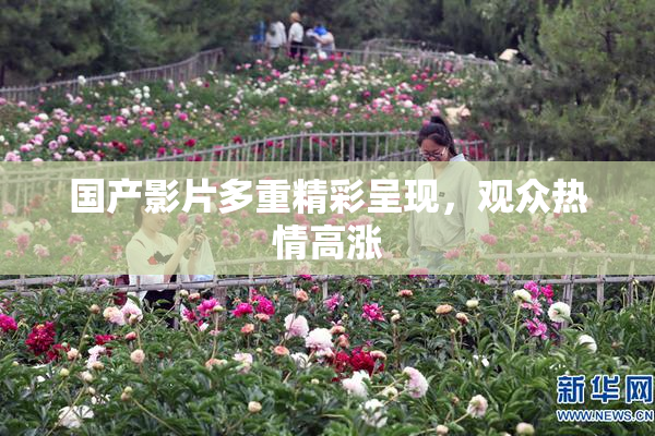 国产影片多重精彩呈现，观众热情高涨