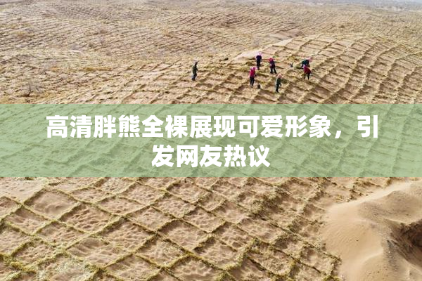 高清胖熊全裸展现可爱形象，引发网友热议