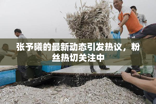 张予曦的最新动态引发热议，粉丝热切关注中