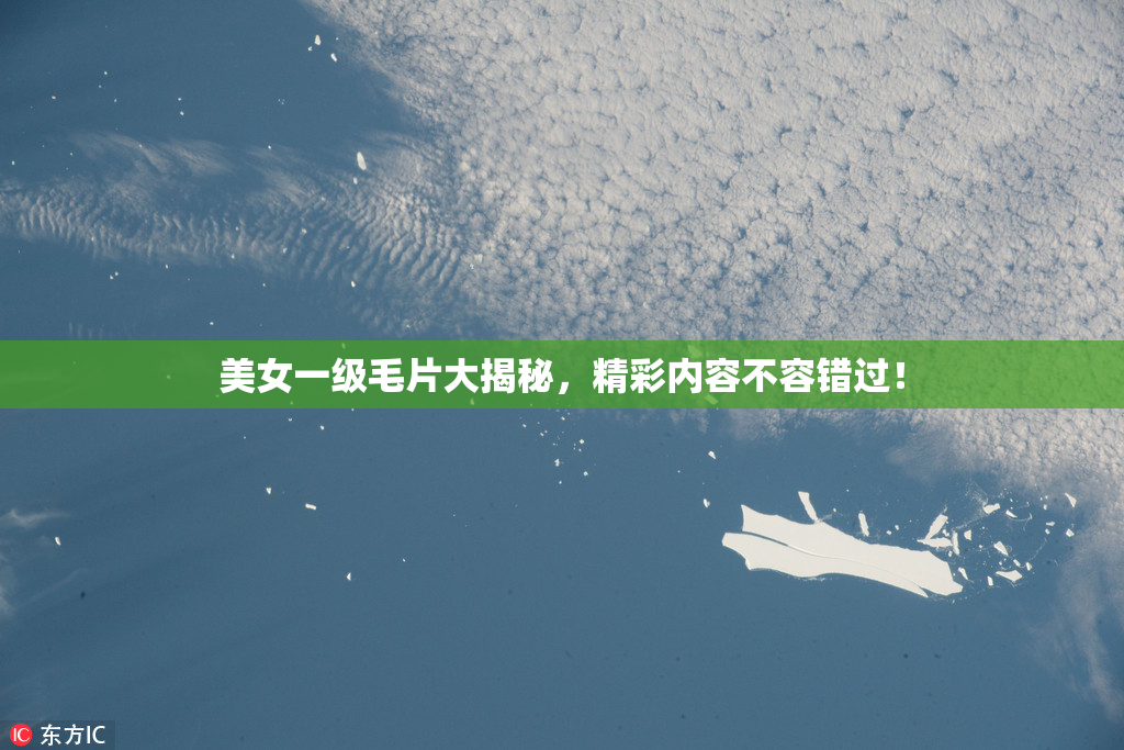 美女一级毛片大揭秘，精彩内容不容错过！