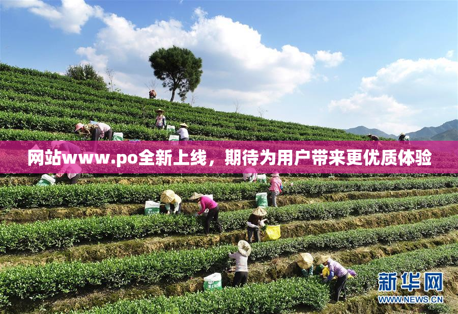 网站www.ро全新上线，期待为用户带来更优质体验