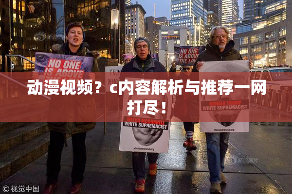 动漫视频？c内容解析与推荐一网打尽！