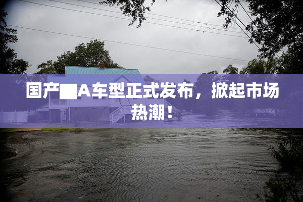 国产▇A车型正式发布，掀起市场热潮！