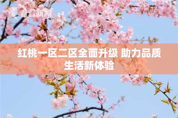红桃一区二区全面升级 助力品质生活新体验