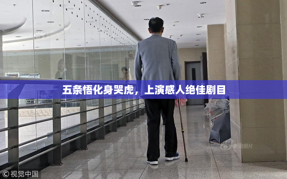 五条悟化身哭虎，上演感人绝佳剧目