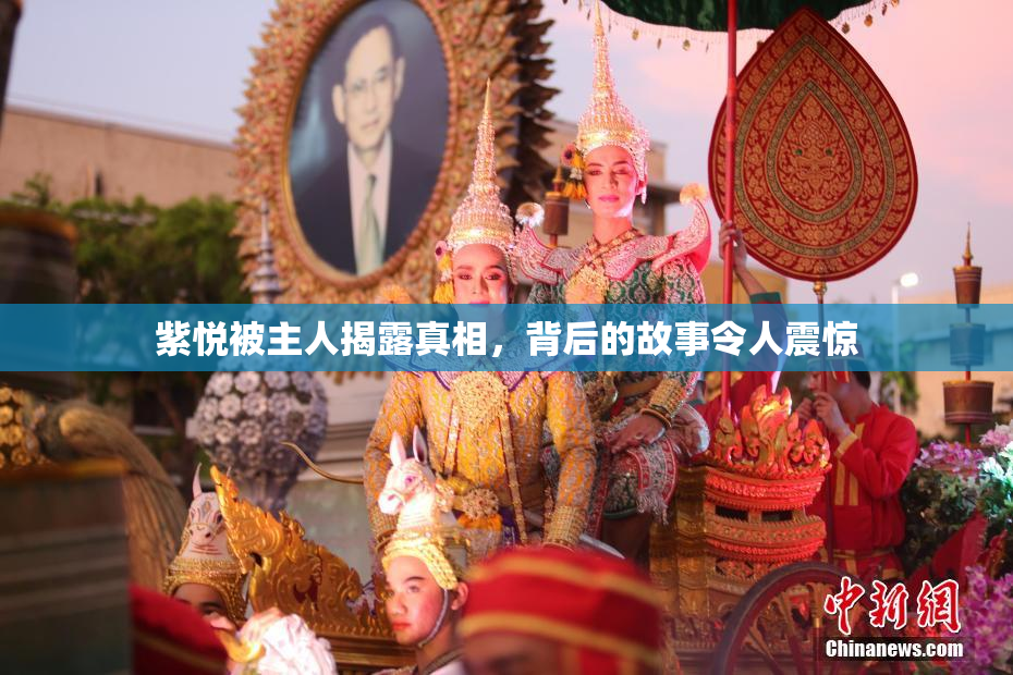紫悦被主人揭露真相，背后的故事令人震惊