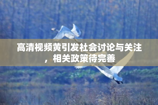 高清视频黄引发社会讨论与关注，相关政策待完善