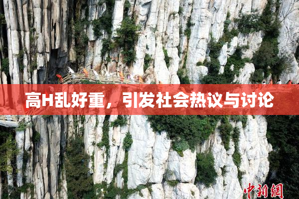 高H乱好重，引发社会热议与讨论