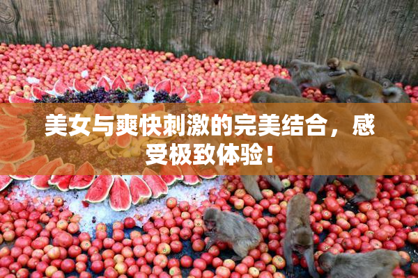 美女与爽快刺激的完美结合，感受极致体验！
