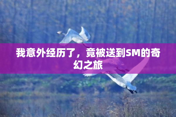 我意外经历了，竟被送到SM的奇幻之旅