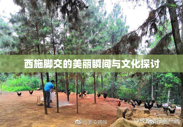 西施脚交的美丽瞬间与文化探讨