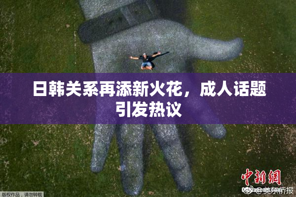日韩关系再添新火花，成人话题引发热议