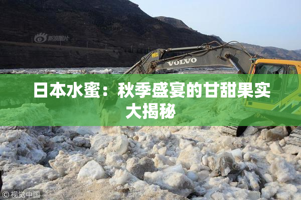 日本水蜜：秋季盛宴的甘甜果实大揭秘