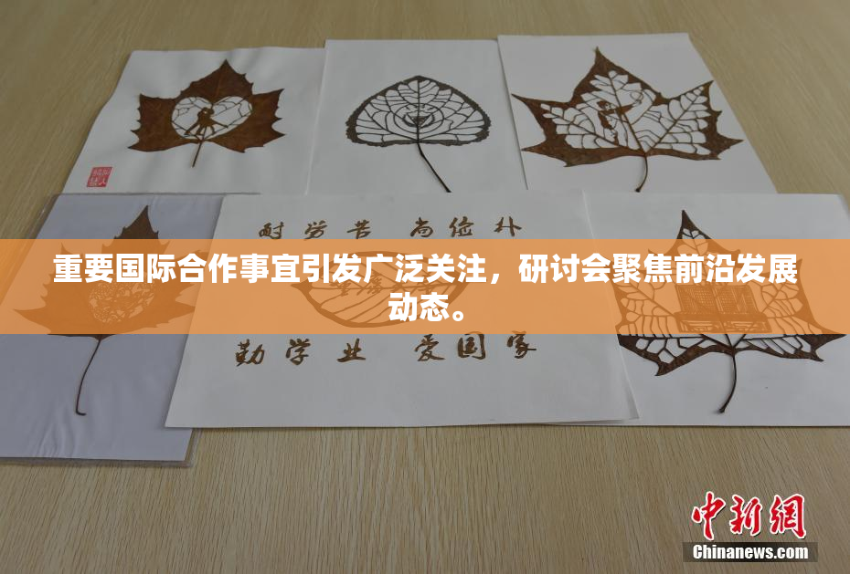 重要国际合作事宜引发广泛关注，研讨会聚焦前沿发展动态。