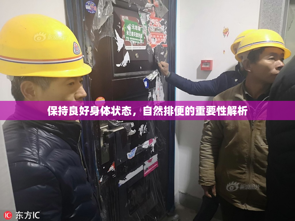 保持良好身体状态，自然排便的重要性解析
