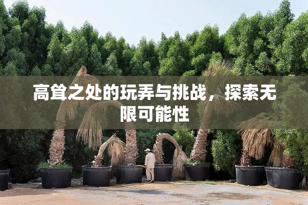 高耸之处的玩弄与挑战，探索无限可能性