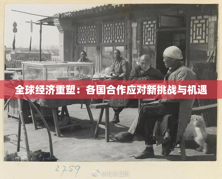 全球经济重塑：各国合作应对新挑战与机遇