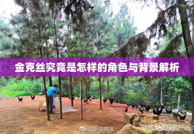 金克丝究竟是怎样的角色与背景解析