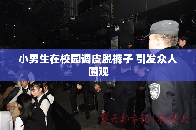 小男生在校园调皮脱裤子 引发众人围观