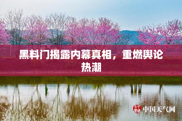 黑料门揭露内幕真相，重燃舆论热潮