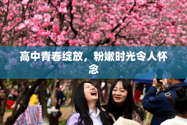 高中青春绽放，粉嫩时光令人怀念