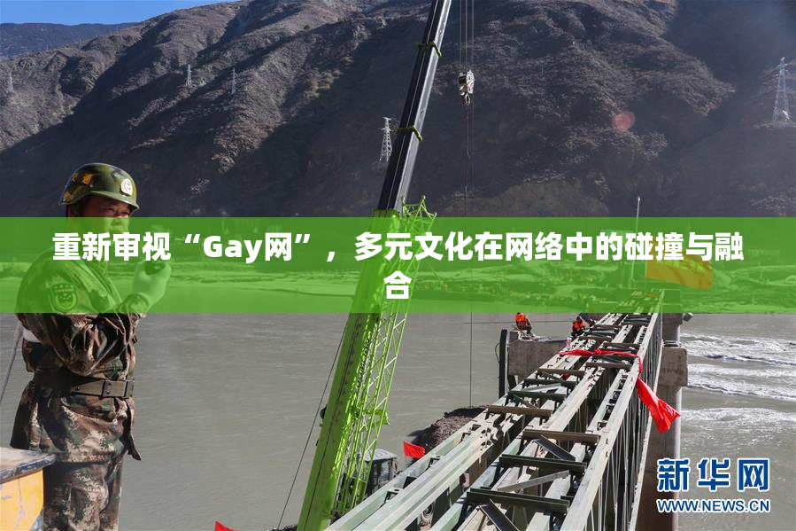 重新审视“Gay网”，多元文化在网络中的碰撞与融合