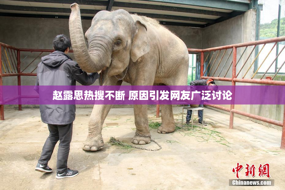 赵露思热搜不断 原因引发网友广泛讨论