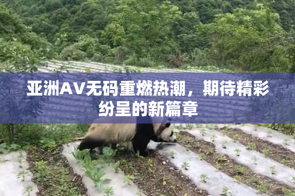 亚洲AV无码重燃热潮，期待精彩纷呈的新篇章