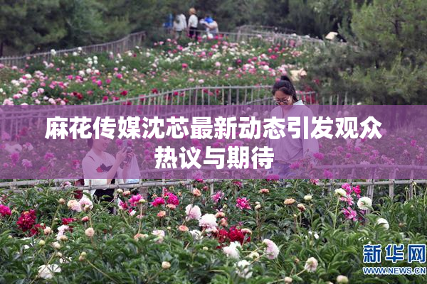 麻花传媒沈芯最新动态引发观众热议与期待