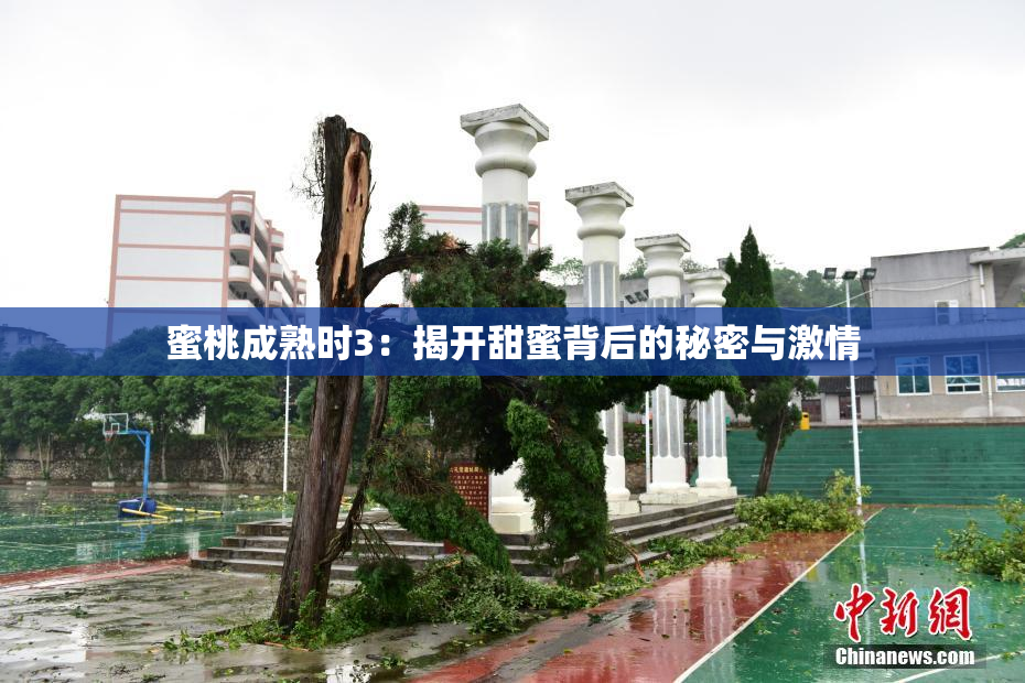 蜜桃成熟时3：揭开甜蜜背后的秘密与激情