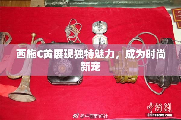 西施C黄展现独特魅力，成为时尚新宠