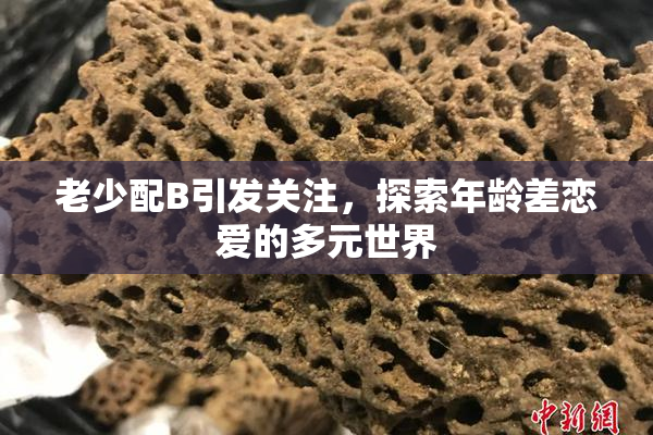 老少配B引发关注，探索年龄差恋爱的多元世界