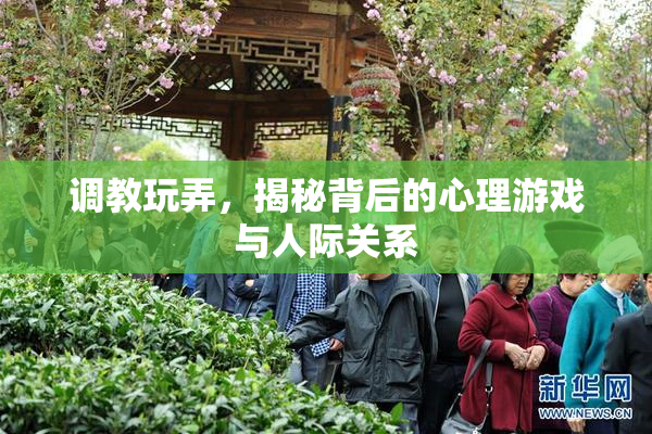调教玩弄，揭秘背后的心理游戏与人际关系