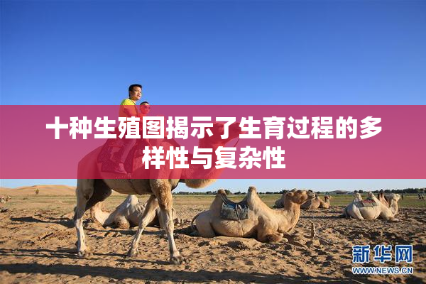 十种生殖图揭示了生育过程的多样性与复杂性