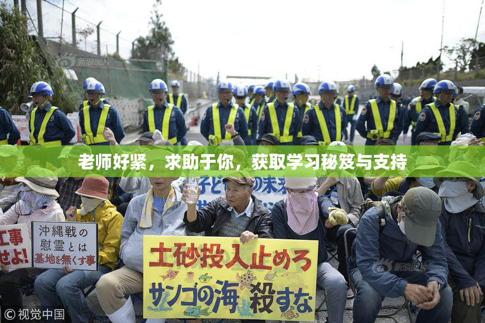 老师好紧，求助于你，获取学习秘笈与支持
