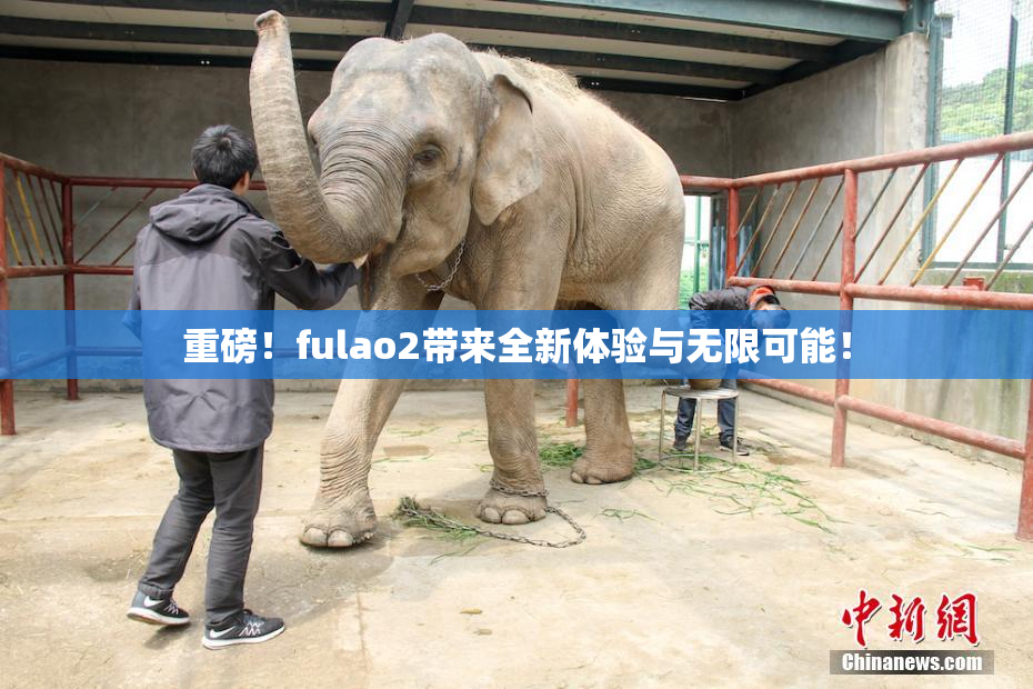 重磅！fulao2带来全新体验与无限可能！