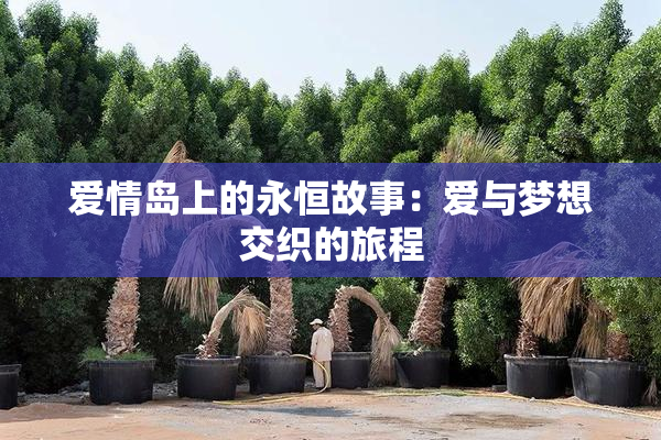 爱情岛上的永恒故事：爱与梦想交织的旅程