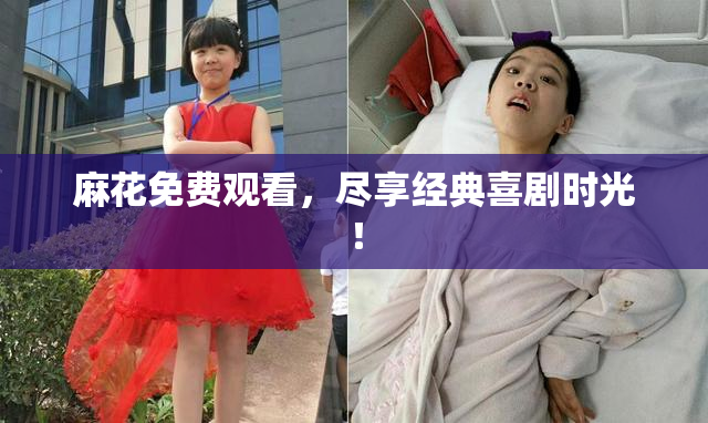 麻花免费观看，尽享经典喜剧时光！