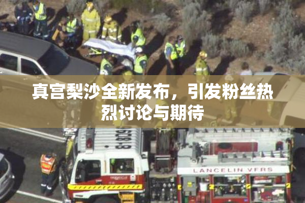 真宫梨沙全新发布，引发粉丝热烈讨论与期待